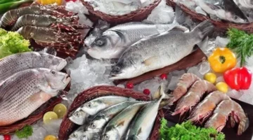 ارتفاع سعر السمك يرفع تكلفة البلطي والجمبري إلى 30 جنيهاً